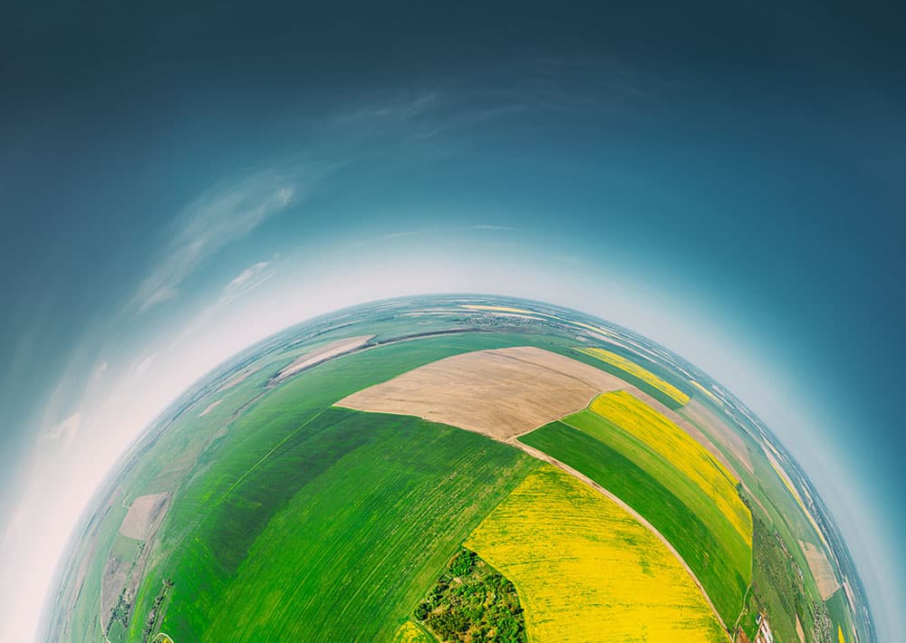 Las we mgle symbolizujący naturę i początki